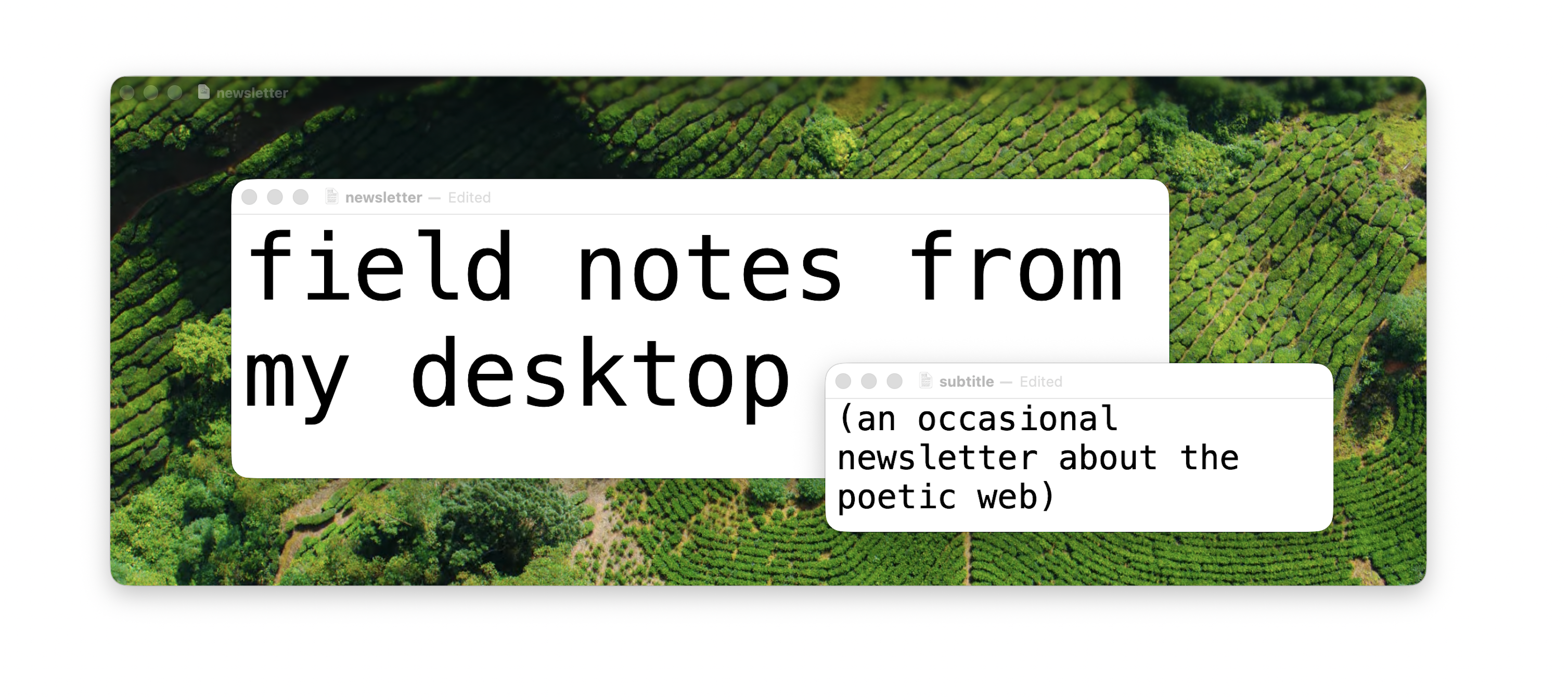 Field notes from my desktop: an occasional newsletter about the poetic web