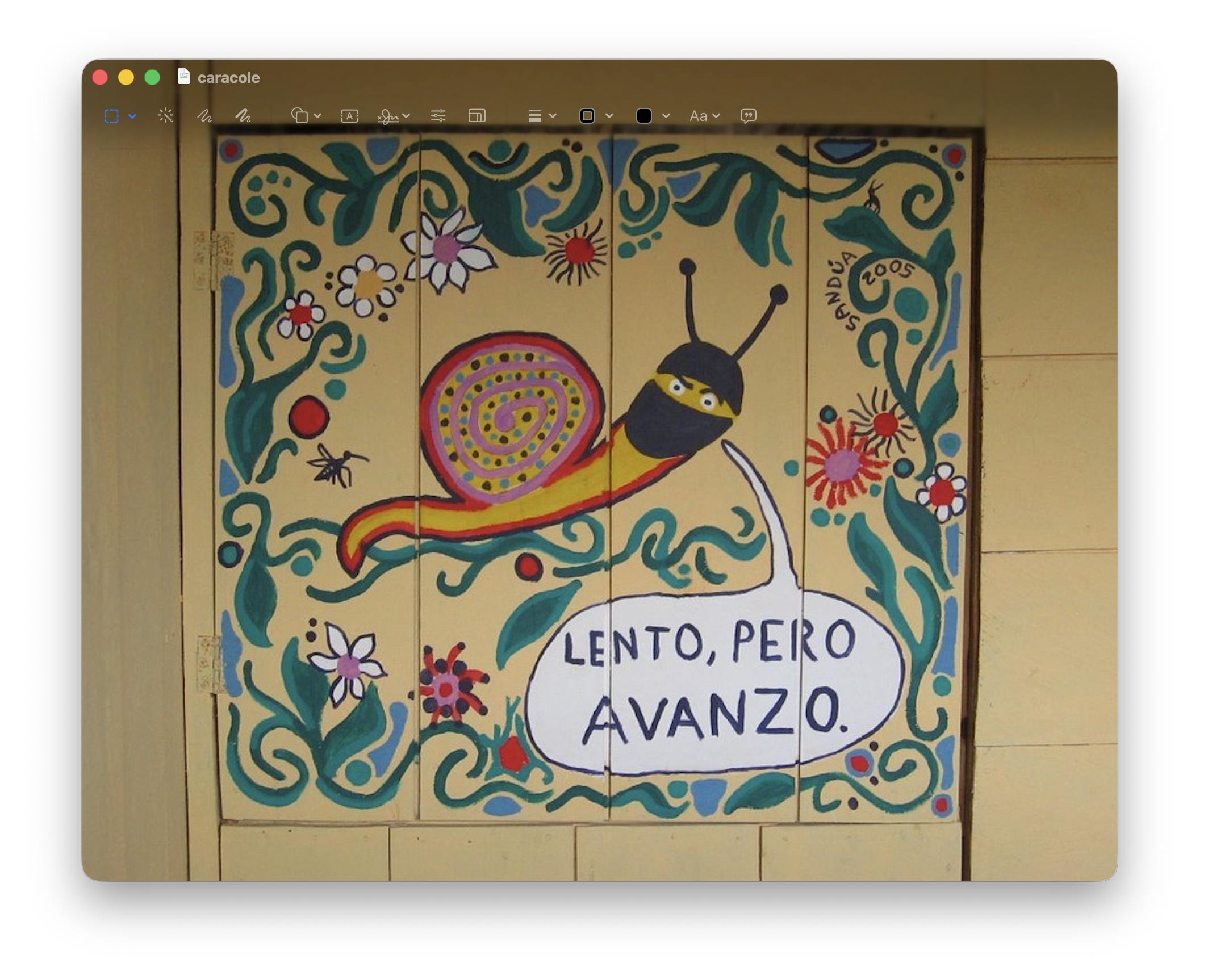 photograph of a hand-drawn snail that has its face covered except for its eyes. The snail is multicolored, with a shell on its back, and surrounded by many flowers and leaves. next to the snail is a speech bubble that says: Lento, pero avanzo.
